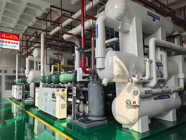 CO₂ szubkritikus hűtőkompresszor egység